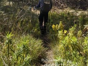 Lelah Dibayar Tuntas di Puncak Gunung Arjuno