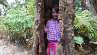 Pohon Bolong di Hutan Menuju Kawah Domas