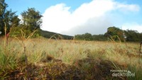 Pelataran Gunung Dempo