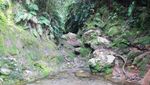 Lembah Indah di Gunung Dempo Itu Bernama Pelataran