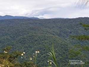 Lembah Kebar: Keindahan Alam Tersembunyi di Papua Barat