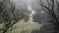 Kawah Tangkuban Perahu (Putri/detikTravel)