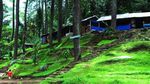 Lembang atau Ciwidey? Ini Dia Ulasan Lengkapnya
