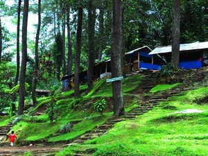Lembang atau Ciwidey? Ini Dia Ulasan Lengkapnya
