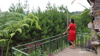 Menikmati hijaunya pemandangan di taman