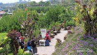 Keindahan rainbow garden yang nampak dari kejauhan