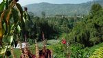 Lembang Tapi Rasa Belanda