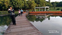 Jembatan Danau Dora