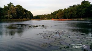 Lepas Penat Sejenak di Lingkungan LIPI Cibinong