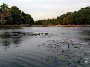 Lepas Penat Sejenak di Lingkungan LIPI Cibinong
