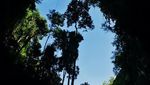 Leung Leng, Satu Lagi Gua Eksotis di Gunungkidul