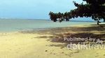 Leuweung Sancang, Satu Lagi yang Eksotik di Garut