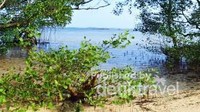 Wajah awal memasuki Mangrove