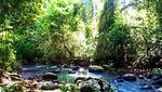 Leuweung Sancang, Satu Lagi yang Eksotik di Garut