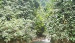 Leuwi Cipet dan Leuwi Liyet, Grand Canyon Mini Ala Bogor