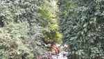 Leuwi Cipet dan Leuwi Liyet, Grand Canyon Mini Ala Bogor
