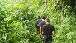 Leuwi Cipet dan Leuwi Liyet, Grand Canyon Mini Ala Bogor