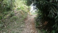 Trekking