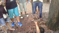 Ini salah satu bentuk atau cara rakyat Vietnam bersembunyi sekaligus pintu keluar masuk trowongan rahasia