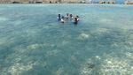 Libur Akhir Tahun ke Pulau Bulat di Kepulauan Seribu Yuk!