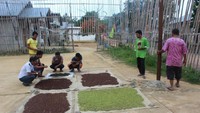 Cengkeh, salah satu hasil bumi Pulau Pongok