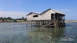 Libur Lebaran ke Bangka, Yuk ke Pulau Pongok