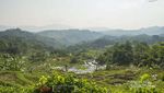 Libur Lebaran ke Sentul, Ada Air Terjun yang Cantik Lho!