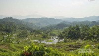 Pemandangan di atas bukit menuju curug