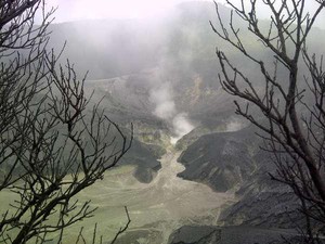 Libur Panjang di Bandung, Ada Festival Tangkuban Perahu