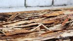 Libur Panjang di Sumbar, Nikmati Kopi dalam Tempurung