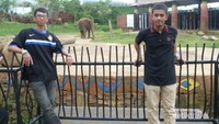 kandang gajah, men!