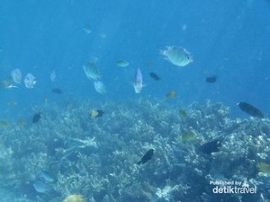 Libur Panjang yang Tenang di Pulau Bira