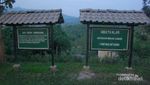 Libur Waisak, Lihat Sunrise Borobudur dari Punthuk Setumbu