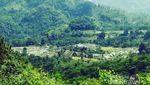 Liburan Akhir Pekan di Karawang, Wajib Mampir ke Puncak Sempur