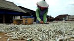 Liburan Anti Pasaran ke Pulau Pasaran, Lampung