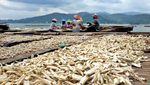 Liburan Anti Pasaran ke Pulau Pasaran, Lampung