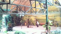 Animal Show di Taman Safari