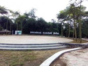 Liburan Bareng Anak, Ajak Bertani dan Berternak Saja!
