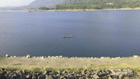 Seorang nelayan waduk yang sedang mencari ikan