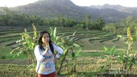Pemandangan sepanjang jalan menuju Waduk