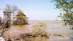 Liburan Beda di Surabaya: Hutan Mangrove Wonorejo