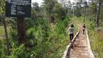 Liburan Beda ke Bandung, Trekking ke Curug Malela