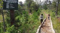 Jalan menuju Curug Malela