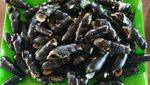 Liburan di Aceh, Cobain Kuah Cue yang Unik