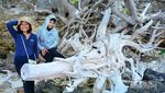 Liburan di Krakatau, Dari Snorkeling Hingga Trekking