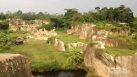 Perpaduan tebing dan pepohonan hijau yang cantik.