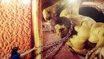 Liburan Eksis di Museum 3D Yogyakarta