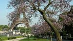 Liburan Hemat di Paris, Ini Aneka Tempat Gratisnya!
