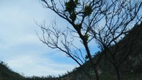 Pemandangan cantik