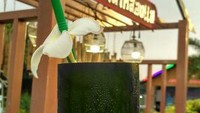 Wajib Coba Thai Tea di Thailand